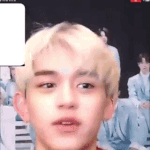[NCT즌] 개귀엽네 진짜