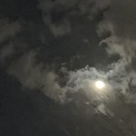 나 개시끄러움