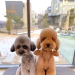 [<b>여자</b><b>아이</b>들] 멘탈 돌아와서 팬톡 복귀