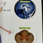 [진격의거인] 나 ㄹㅇ 진격거에 미친듯