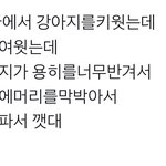 이게 대체 <b>무슨</b> <b>꿈</b>이애