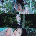 아가씨 내 인생영화임 (약스포)