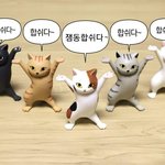 [NCT즌] 잼둥 찐이다