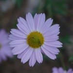 [낚시] 오늘은. 열심히^^