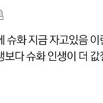 <b>슈화</b> <b>글</b> 댓글 ㅈㄴ뼈때리네