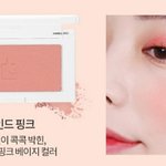 [드루와] 이 <b>블러셔</b> 어떤 톤한테 어울림??