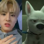 [더보이즈] ㅇㄴ 진짜 볼트 닮았네