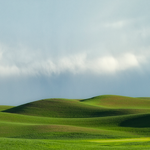 인프피들아 이거 다 받아?
