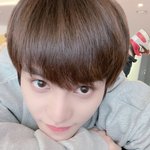 [NCT즌] 개귀여워 <b>양양</b>이