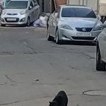 [진격의거인] 아 ㅋㅋㅋ19에렌이랑 리바이 그거한다