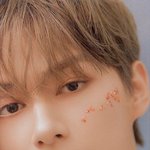 [세븐틴] <b>캐럿</b>드라~~ㅠㅠ