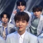 [트레저] 무대 시작할 <b>때</b> 강쥐 <b>열</b>두마리 올라와서 놀람;;