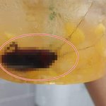 악! 유명 카페 음료서 5㎝ 거대 바퀴벌레가…? 갑론을박