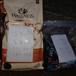 [고양이] 9살꼬마랑 어머니 너무 귀여워요 ㅠㅠ