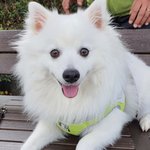 우리 <b>막둥이</b> 좀 볼래요?