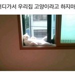 [추반] 내일 개학인데 교복 입어야되겠지?