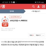 이새끼들 단체로 <b>난독</b>인가?