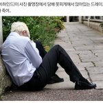 [드루와] <b>피그</b>피그랑 어울리는 블러셔 추천해줘❗
