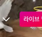 [드루와] 로제 개쩐다 <b>라방</b> 한지 1분만에