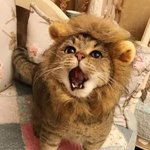 [댓글부탁해] 본진만의 <b>별명</b> 있어?