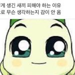 <b>풍뎅이</b>가 좋아하는 배추보쌔앰~