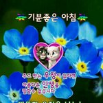 나만 과몰입 토론글 좀