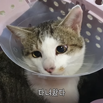 아침밥만 먹으면 왜 배가 아플까