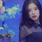 [추반] 나 <b>짝눈</b>이라서 스트레스인데 쌍수해도될까?
