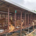 <긴급> <b>롯데</b> 목장 개살리기 시민모임이 걸어온 길과 현재 모습