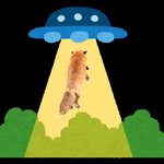 <b>웬만</b>하면 공시나 목표대학 sns에 올리지 마..