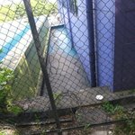 [고양이] 묘생역전