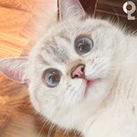 야 나<b>짝</b><b>남</b>들킴어떡해