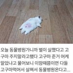 ㅠㅠㅠ