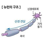 [19] 판이랑 프아계 <b>묘사</b>한 웹툰 뭐였지???