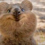 ❗❗❗나 습관 고치는거 좀  도와주라❗❗❗