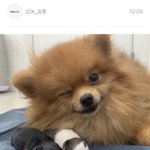 예비고2 영어 <b>독학</b> 가능?