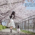 자신과 똑 닮은 <b>인형</b>과 여행한 모델