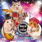 스포티파이 한국은 <b>무료버전</b> 없는거임??