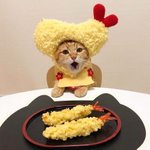 음식으로 <b>위장</b>해도 마냥 귀여워!