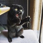 <b>사악</b>해서 더 귀여운 거 아시죠?