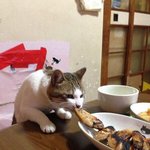 <b>생선</b>이요? 아 괜찮다니까요~