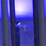 에어<b>비앤비</b> 써 본 사람