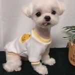 [NCT즌] 도키도키 쓰루 <b>쿠라</b>이~~!!