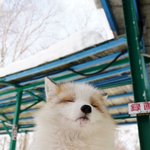 이해 못하는 내가 이상한걸까..