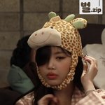 [모두드루와] 너네 <b>본진</b>이 브이앱 댓글 읽어준적 있음?