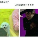 [드루와] 쿠션잘알 다들드루와