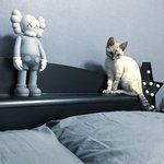 [BTOB] 아니 솔직히