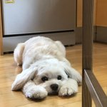[드루와] 너희는 <b>기초</b> 뭐뭐해?