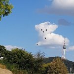 인기많은 예쁜여자 특징