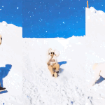 [방탄소년단] 세상에나이런일이에 제보해야하는거 아님?